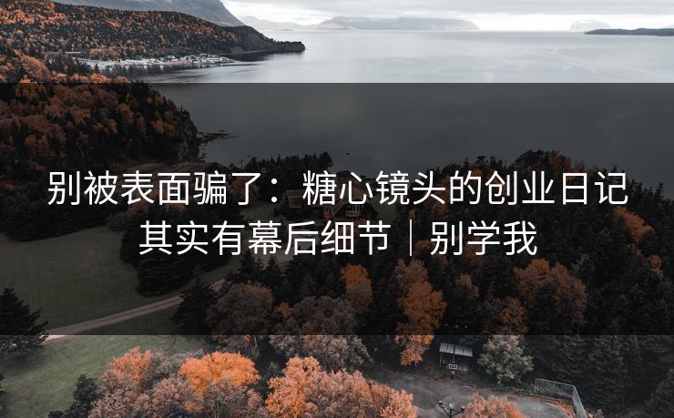 别被表面骗了：糖心镜头的创业日记其实有幕后细节｜别学我