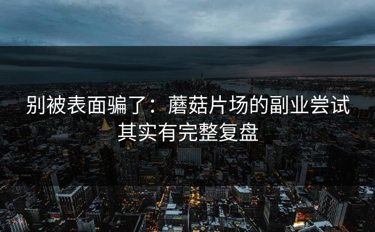 别被表面骗了：蘑菇片场的副业尝试其实有完整复盘