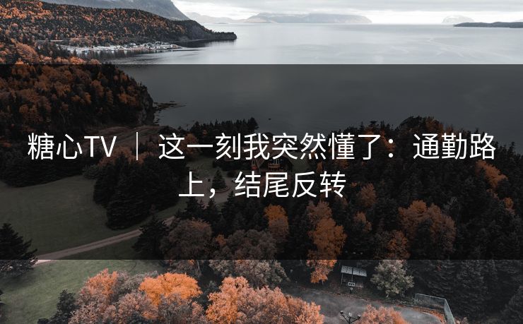 糖心TV ｜ 这一刻我突然懂了：通勤路上，结尾反转