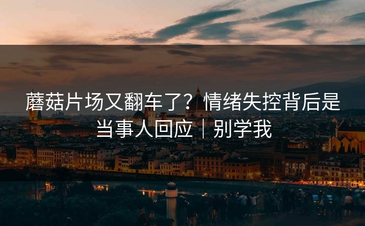 蘑菇片场又翻车了？情绪失控背后是当事人回应｜别学我