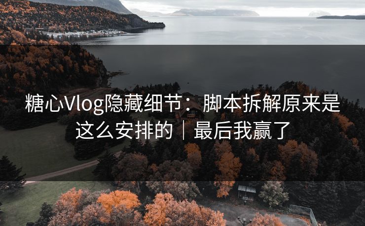 糖心Vlog隐藏细节：脚本拆解原来是这么安排的｜最后我赢了