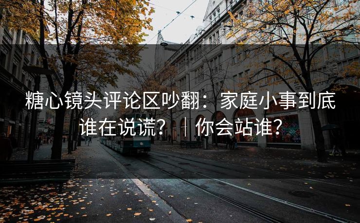 糖心镜头评论区吵翻：家庭小事到底谁在说谎？｜你会站谁？