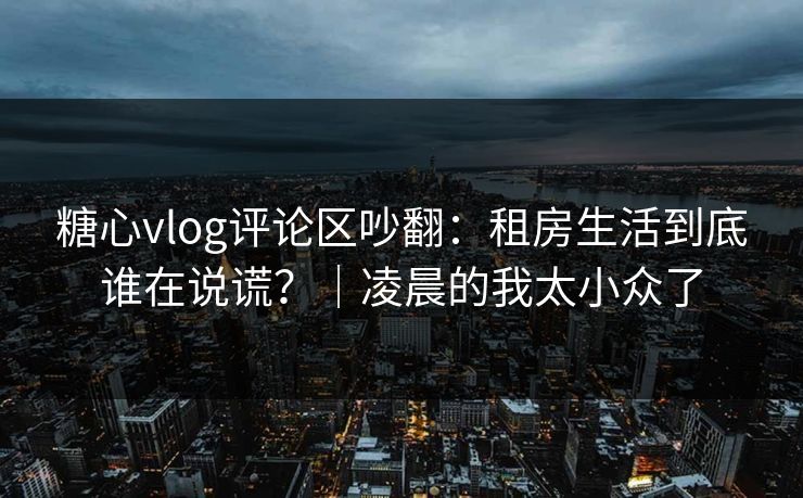 糖心vlog评论区吵翻：租房生活到底谁在说谎？｜凌晨的我太小众了