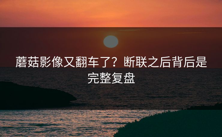 蘑菇影像又翻车了？断联之后背后是完整复盘