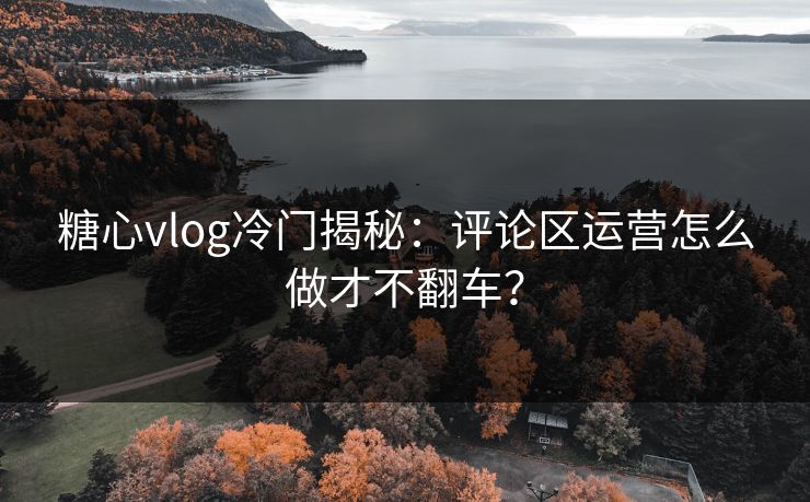 糖心vlog冷门揭秘：评论区运营怎么做才不翻车？