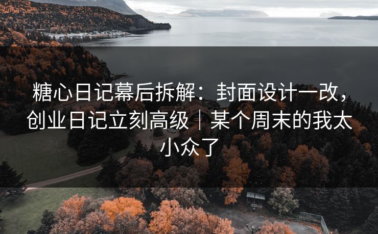 糖心日记幕后拆解：封面设计一改，创业日记立刻高级｜某个周末的我太小众了