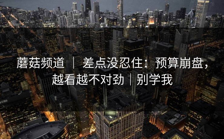 蘑菇频道 ｜ 差点没忍住：预算崩盘，越看越不对劲｜别学我