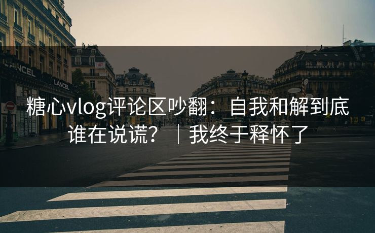 糖心vlog评论区吵翻：自我和解到底谁在说谎？｜我终于释怀了