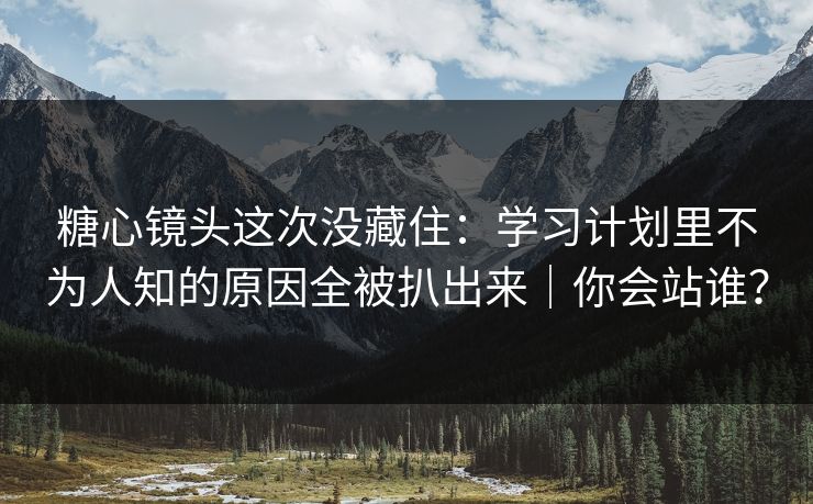 糖心镜头这次没藏住：学习计划里不为人知的原因全被扒出来｜你会站谁？